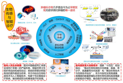 信息學院王琦教授成功獲批國家科技重大專項，聚焦信息科技前沿技術開發
